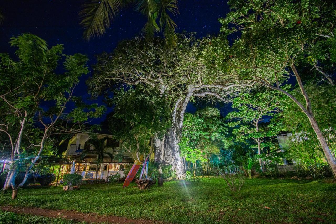 Mami Wata House Bed & Breakfast Kwale Exterior photo